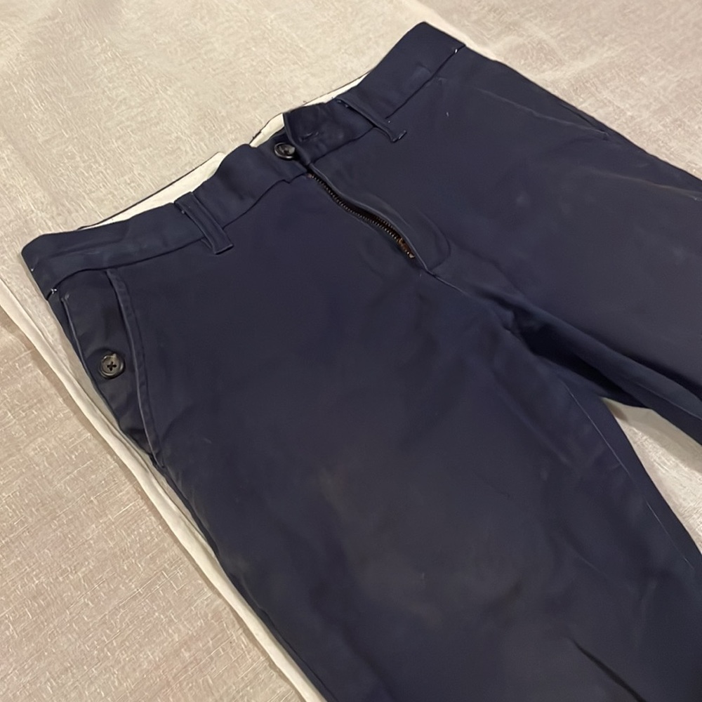Blue casual chinos pants by FiveFour (size 29in waist, ~30in inseam)